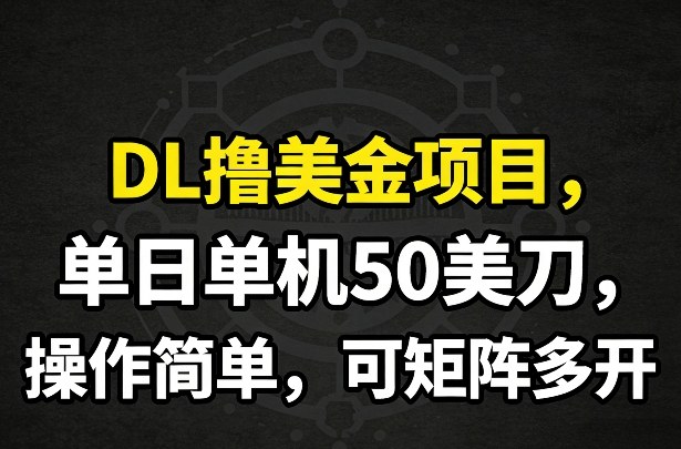 DL撸美金项目，单日单机50美刀，操作简单，可矩阵多开-聚合项目网
