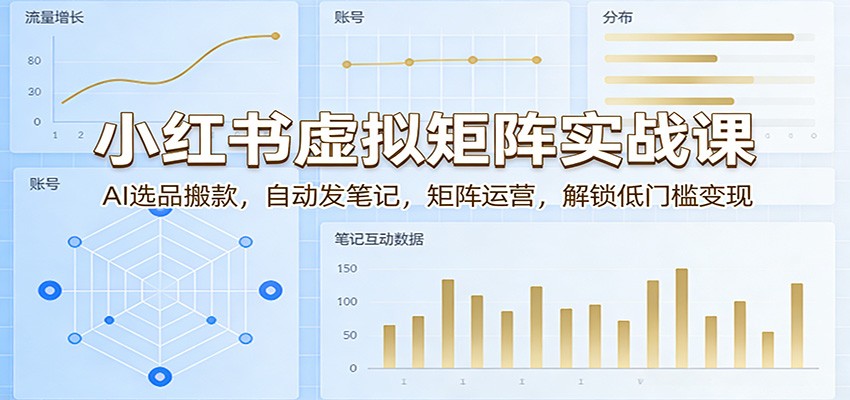 小红书虚拟矩阵实战课：AI选品搬款，自动发笔记，矩阵运营，解锁低门槛变现-聚合项目网