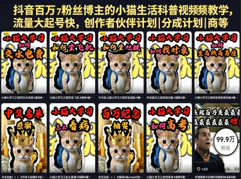 抖音百万粉丝博主的小猫生活科普视频教学，流量大起号快，创作者伙伴计划|分成计划|商单|收徒等-聚合项目网