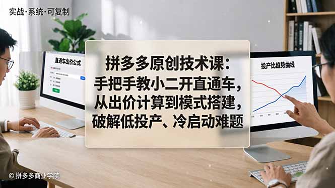 拼多多原创技术课：手把手教小二开直通车，从出价计算到模式搭建，破解低投产、冷启动难题-聚合项目网
