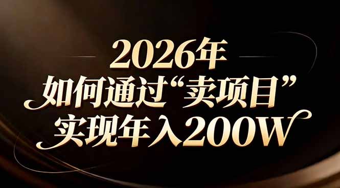 站在2026年的十字路口：一个普通人如何通过卖项目实现年入200万-聚合项目网