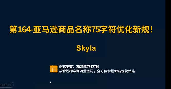 亚马逊跨境实战课：全品类选品逻辑｜SP/SB/SD广告精细化｜新品打爆旺季爆单全套运营教程-聚合项目网