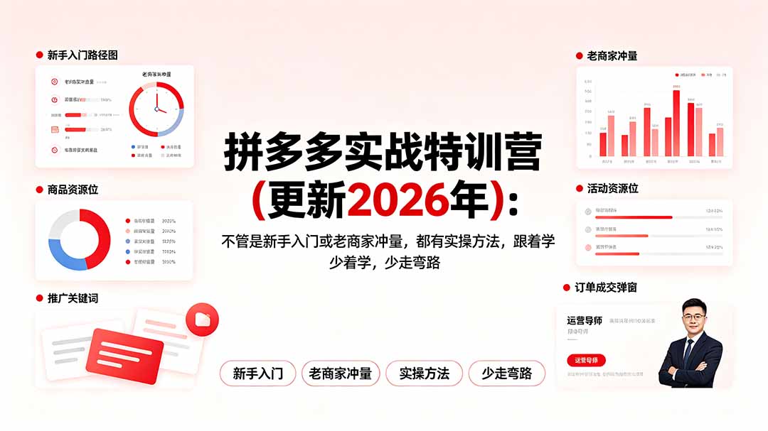 拼多多实战特训营(更新2026年-聚合项目网