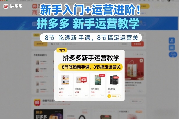 新手入门+运营进阶！拼多多新手运营教学，8节吃透新手课，8节搞定运营关-聚合项目网