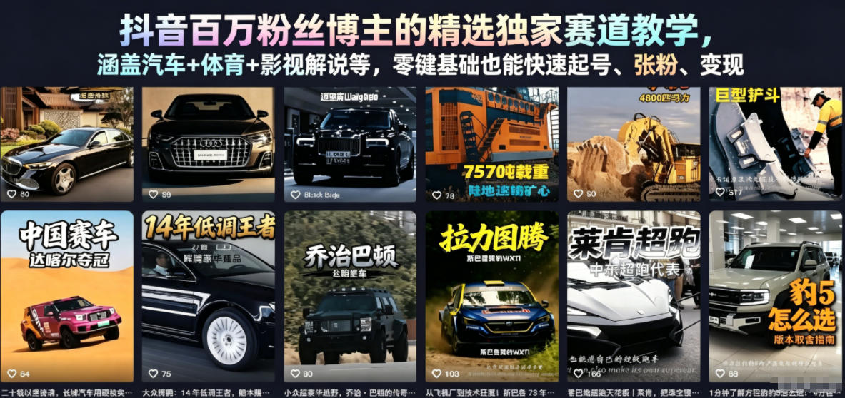 抖音百万粉丝博主的精选独家赛道教学，涵盖汽车+体育+影视解说等，零基础也能快速起号、涨粉、变现-聚合项目网