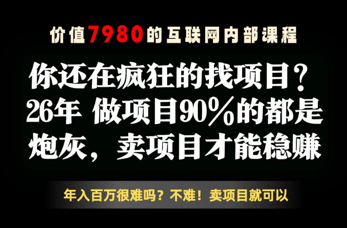 26年请不要疯狂的找项目了，卖项目远比你想象的暴利，你也可以月入10W+【揭秘】-聚合项目网