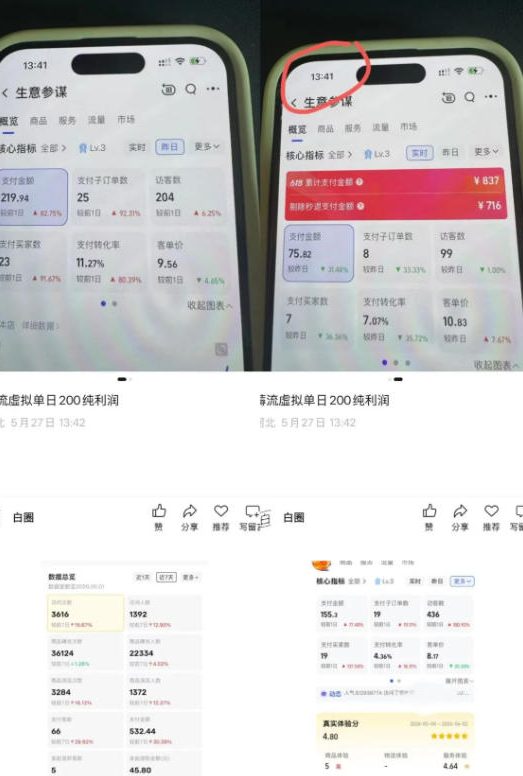 薅流虚拟2.0陪跑课，0成本AI流程化操作，淘宝+闲鱼同步玩法，上一次货两个平台有收益，单店每天200纯利润-聚合项目网