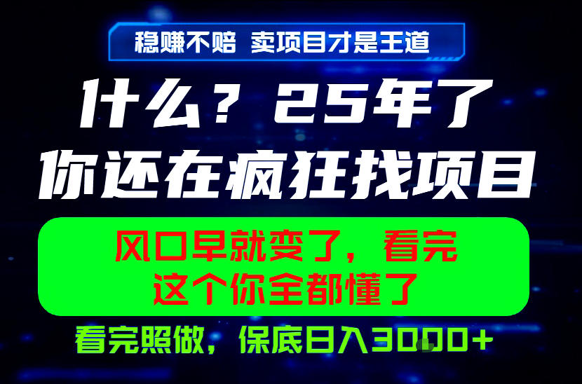 26年，请不要疯狂的找项目做了！卖项目才是真的稳賺不赔，看完照做，保底日入1k+【揭秘】-聚合项目网