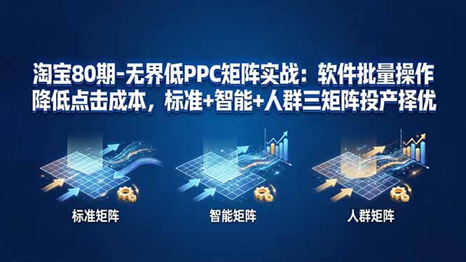 淘宝80期-无界低PPC矩阵实战：软件批量操作降低点击成本，标准+智能+人群三矩阵投产择优-聚合项目网