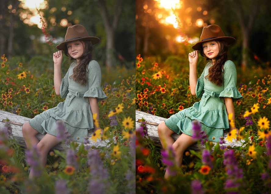 大师级GTG出品-老友记系列AI自适应预设The Friends Preset Collection-聚合项目网