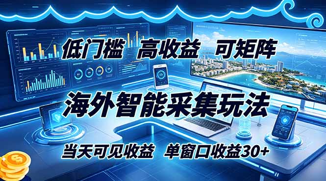 海外智能采集玩法，低门槛高单价可矩阵，当天可见收益，单窗口30+-聚合项目网