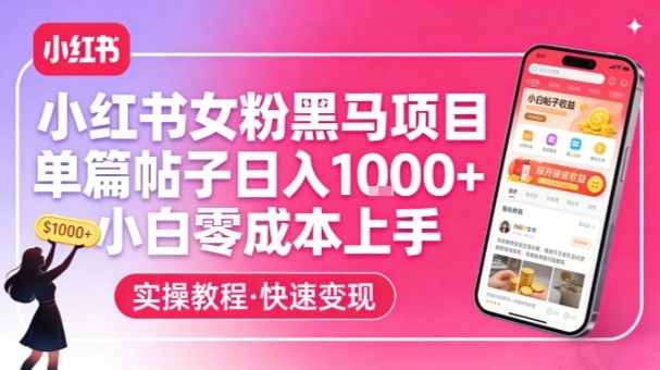 小红书女粉黑马项目，单篇帖子日入1k+，小白零成本上手-聚合项目网