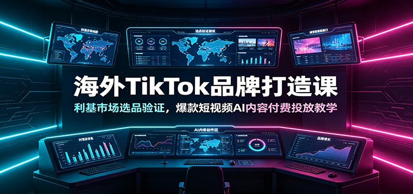 海外TikTok品牌打造课:利基市场选品验证,爆款短视频AI内容付费投放教学-聚合项目网