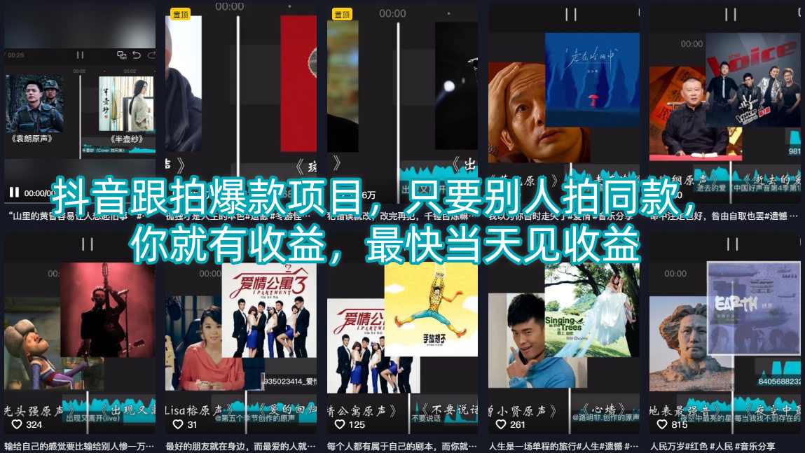 抖音跟拍爆款项目，只要别人拍同款，你就有收益，最快当天见收益-聚合项目网