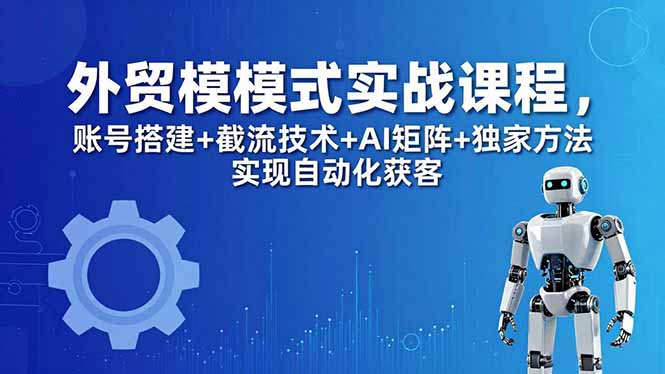 外贸新模式实战课程-更新5月，账号搭建+截流技术+AI矩阵+独家方法实现自动化获客-聚合项目网