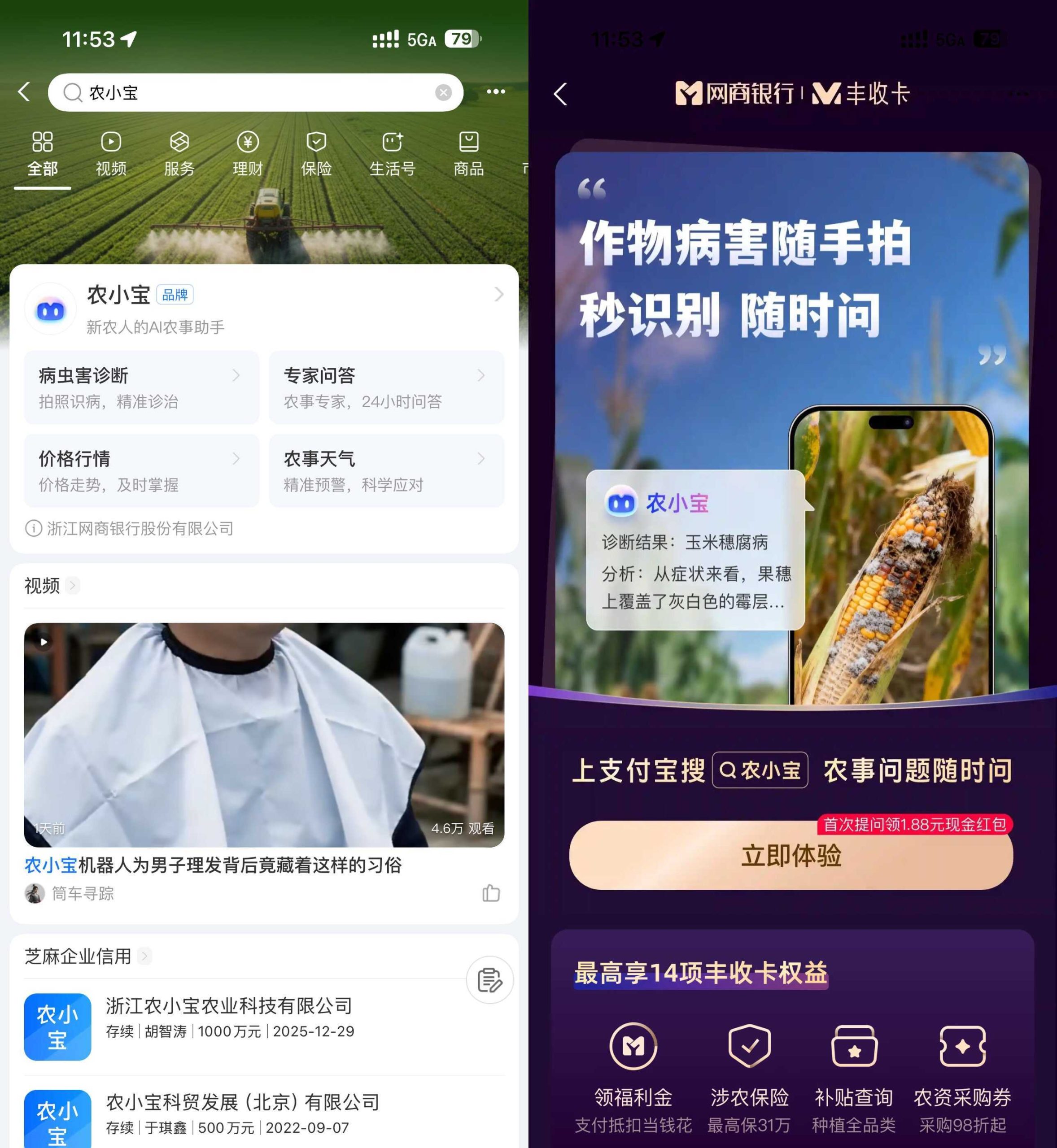 支付宝农小宝首次提问得1.88亓-聚合项目网