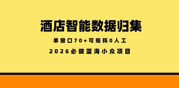 酒店智能数据归集，小众蓝海已经稳定半年之久，单窗口70+零成本矩阵开干【揭秘】-聚合项目网