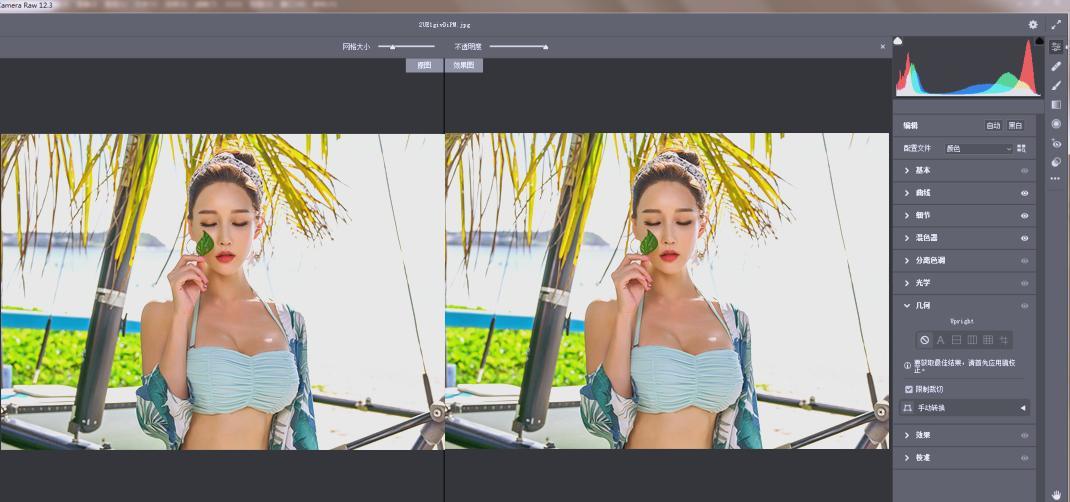 RAW处理Adobe Camera Raw v18.2.0中文版-聚合项目网