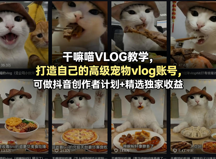 干嘛喵VLOG教学，打造自己的高级宠物vlog账号，可做抖音创作者计划+精选独家收益-聚合项目网