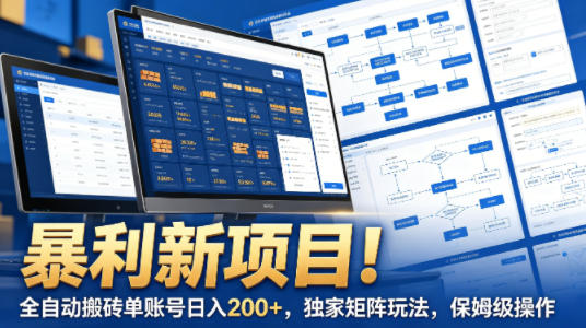暴利新项目！全自动搬砖单账号日入200+，独家矩阵玩法，保姆级操作【揭秘】-聚合项目网