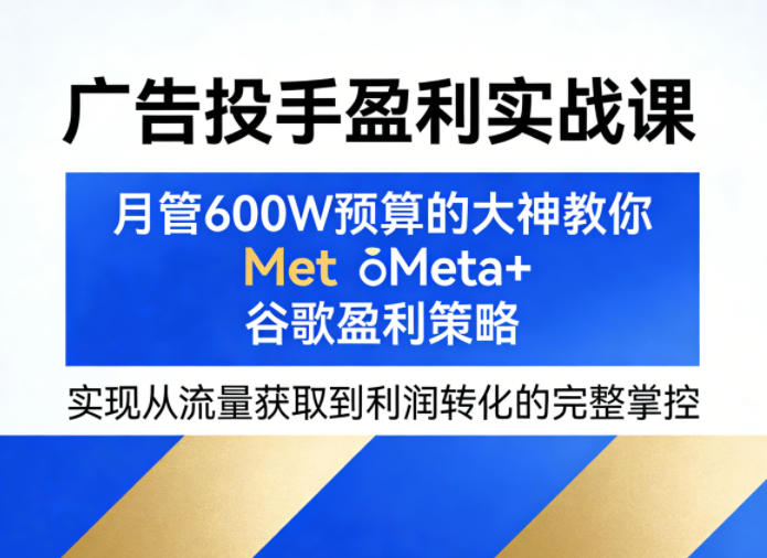 广告投手盈利实战课，月管600W预算的大神教你Meta+谷歌盈利策略，实现从流量获取到利润转化的完整掌控-聚合项目网