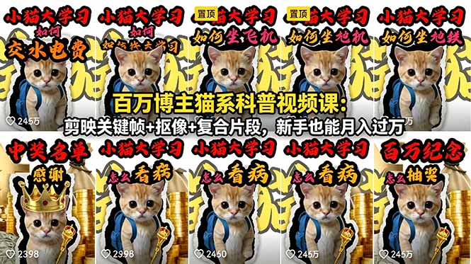 百万博主猫系科普视频课：剪映关键帧+抠像+复合片段，新手也能月入过万-聚合项目网
