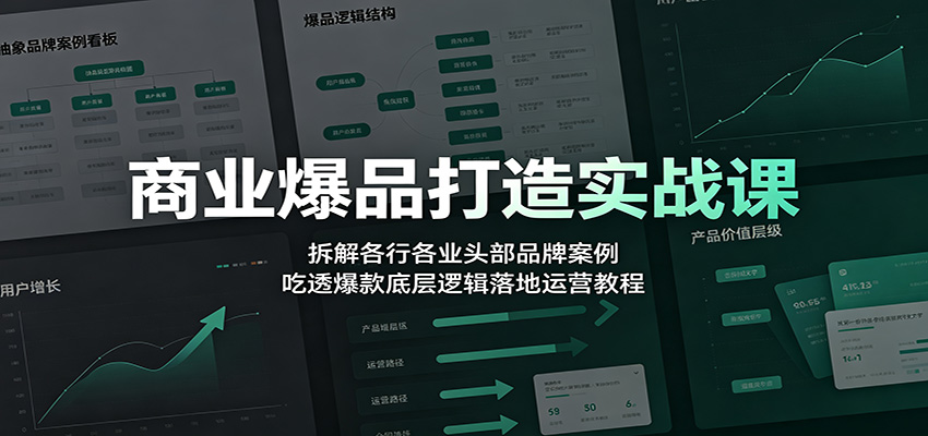 商业爆品打造实战课：拆解各行各业头部品牌案例，吃透爆款底层逻辑落地运营教程-聚合项目网