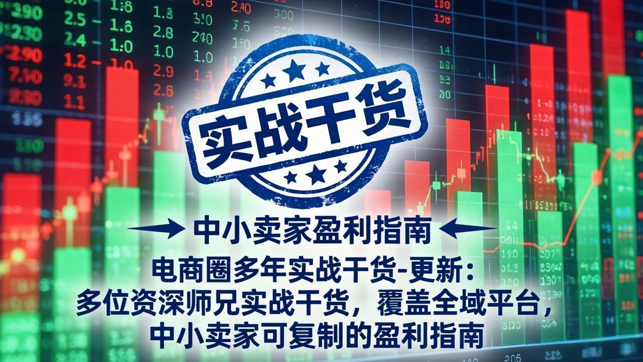 电商圈多年实战干货-更新4月：多位资深师兄实战干货，覆盖全域平台，中小卖家可复制的盈利指南-聚合项目网