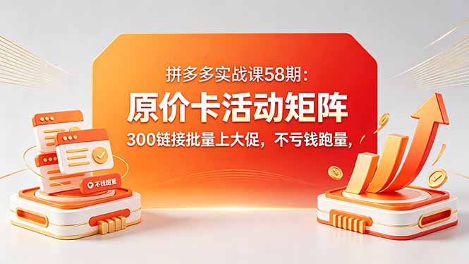 拼多多实战课58期：原价卡活动矩阵，300链接批量上大促，不亏钱跑量-聚合项目网