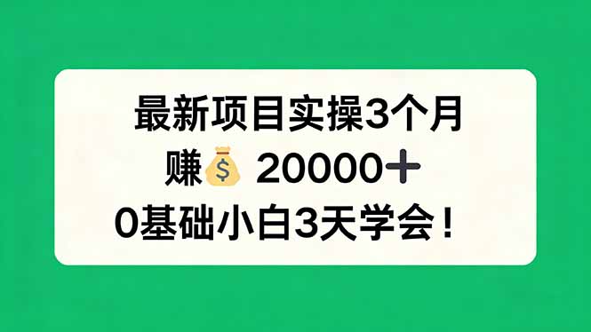 最新项目实操3个月，赚钱20000+，0基础小白3天学会！-聚合项目网