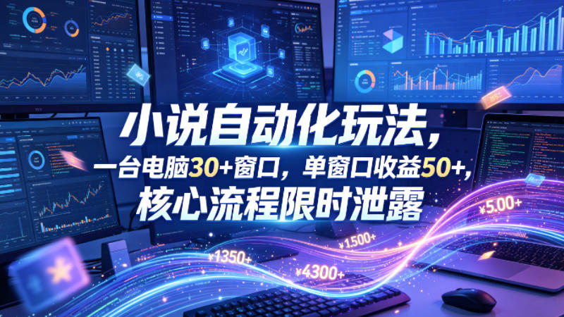 小说挂G自动化玩法，一台电脑30+窗口，单窗口收益50+，核心流程限时泄露【揭秘】-聚合项目网
