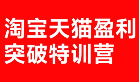 玺承·淘宝天猫盈利突破特训营(25年12月线下课)【音频+字幕】-聚合项目网