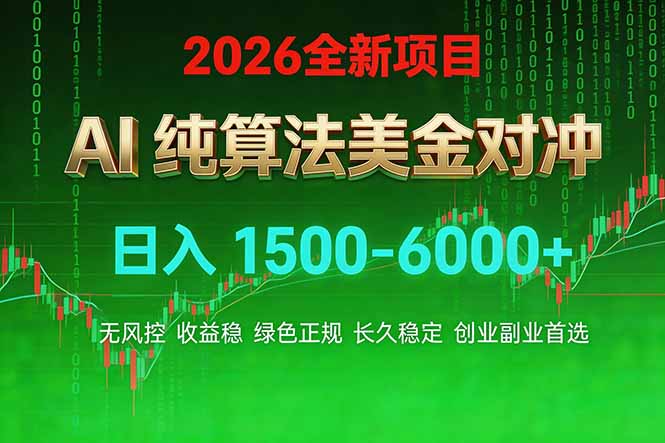 2026 全新美金对冲项目，不套平台赠金，不封号，纯算法对冲，日入 1500-6000+-聚合项目网