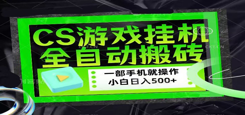 CSGO游戏挂机捡漏搬砖，超稳定的项目，带领1000+小白实现日入500+-聚合项目网